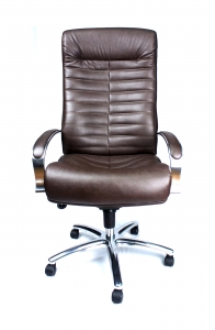 Кресло для руководителя Orion AL M Кресло для руководителя Orion AL M